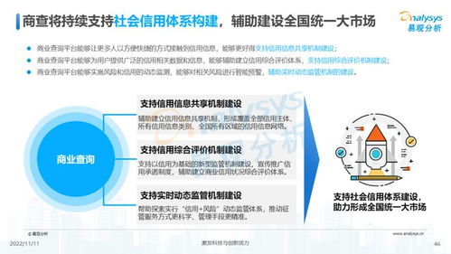 透視用戶需求深挖服務(wù)潛力 2022中國(guó)商業(yè)查詢行業(yè)洞察